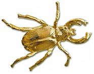 Gold bug pin from 1896 election. Gold bug pin from 1896 election.