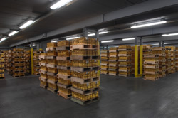 GLD vault