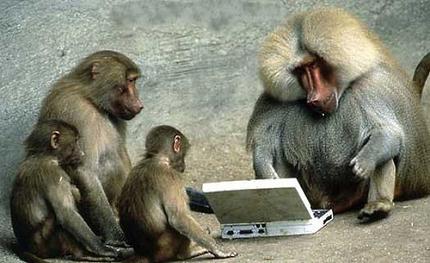 Monkey Laptop